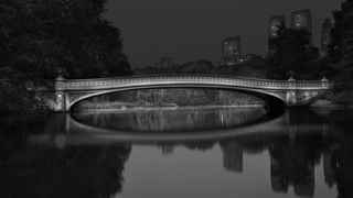 New York's Central Park never looked so beautiful as in these photos